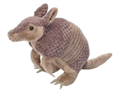 image of Attendance Armadillo